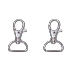 Dvi užsegimai žuvis